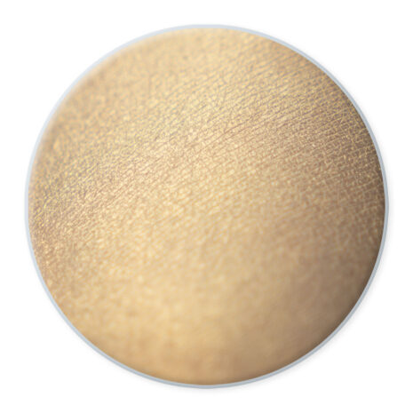 PigmentMakeUp-005