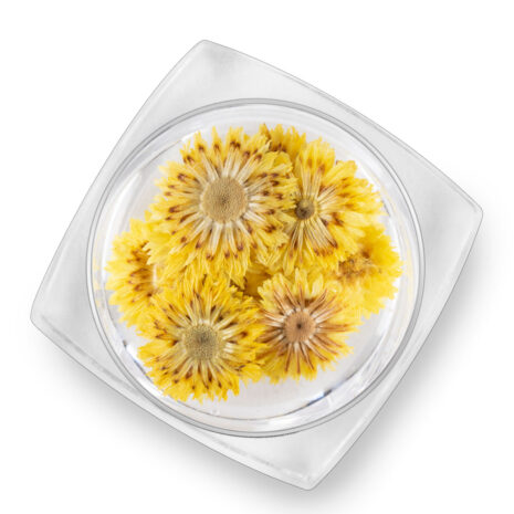 DecorFloricele-Galben