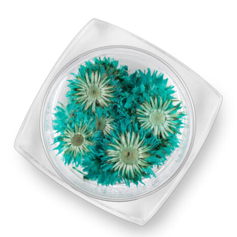 DecorFloricele-Turquoise